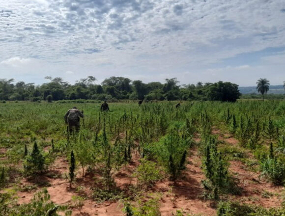 Golpe Millonario al Narco en Canindeyú