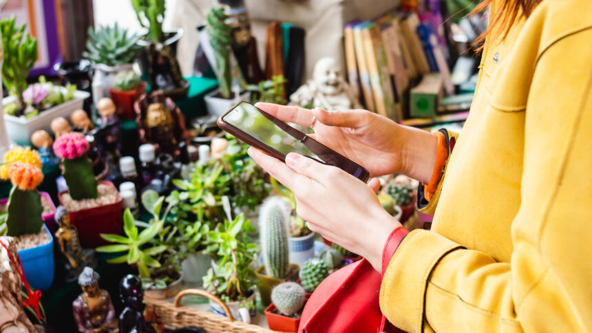 Ley de Mipymes: apoyo a la formalización