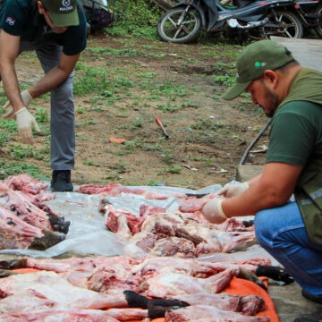 Detienen a cinco con carne silvestre ilegal
