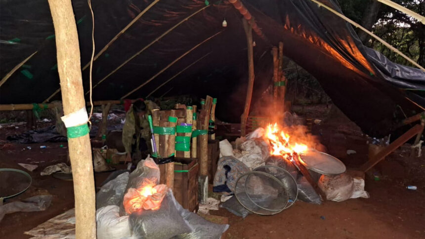 Capturan a traficantes con 8.800 kg de marihuana