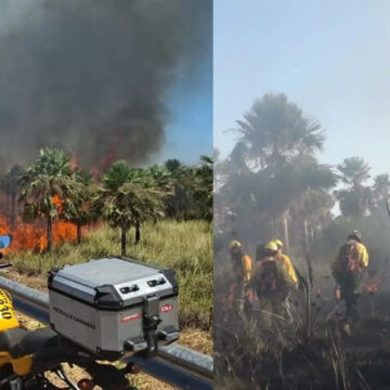 Incendios en la Ecovía devoran 45 hectáreas