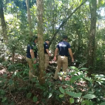 arboll Trágico accidente cobra vida de hombre