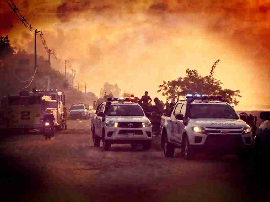 Incendios forestales arrasan 60.000 hectáreas en enero