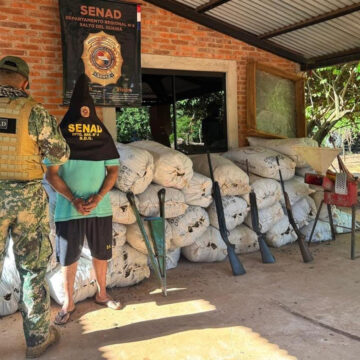 senad candindeyu SENAD incauta más de 7 toneladas de marihuana en Canindeyú