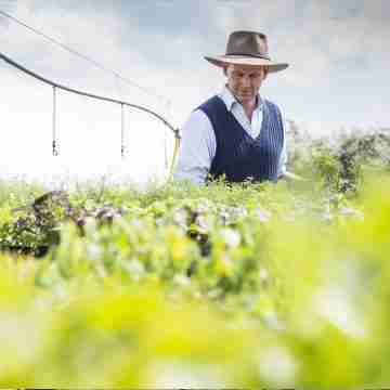 Gremios denuncian impunidad en el Poder Judicial