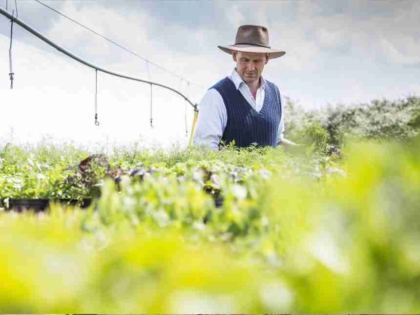 Gremios denuncian impunidad en el Poder Judicial