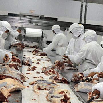 Paraguay avanza para exportar carne a Japón