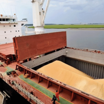 Ingreso de divisas por soja cae 17%