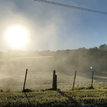 Frente frío traerá mínimas de 0°C
