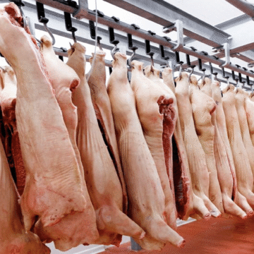 Industria porcina crece con nuevos mercados