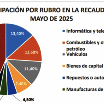Telefonía y combustibles lideran ingresos aduaneros