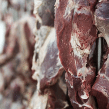 Exportación de carne suma USD 1.305 millones