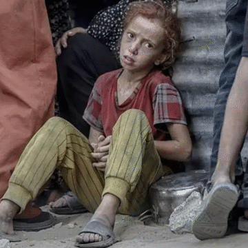 Expertos denuncian hambruna planificada en Gaza