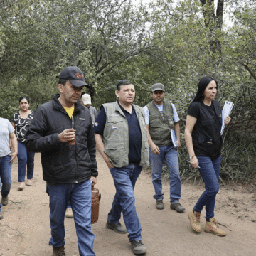 Senado exige claridad sobre títulos del Indert