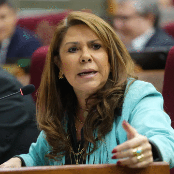 celeste Celeste exige pérdida de investidura de Noelia