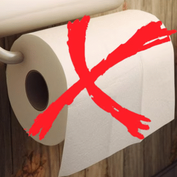 Inodoros inteligentes desafían al papel higiénico