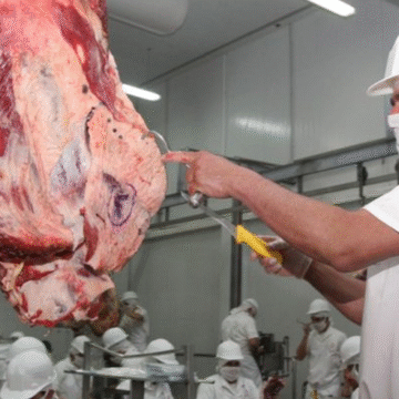 Panamá autoriza importación de carne paraguaya
