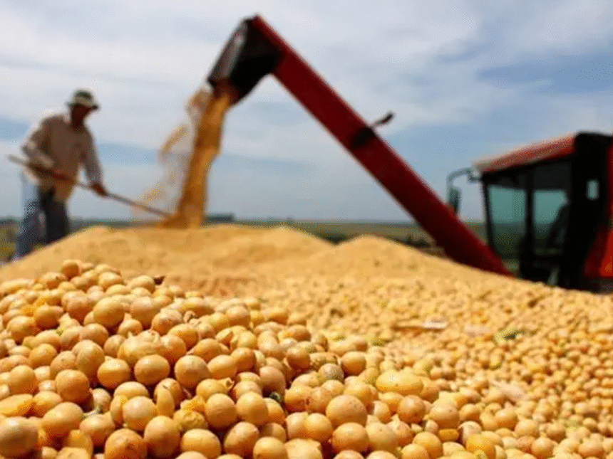 zmenor Menor producción de soja limita crecimiento económico