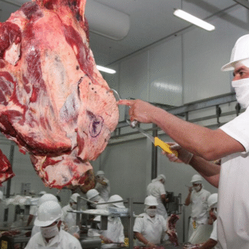 zexportaciones Exportaciones de carne bovina marcan récord