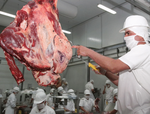 zexportaciones Exportaciones de carne bovina marcan récord